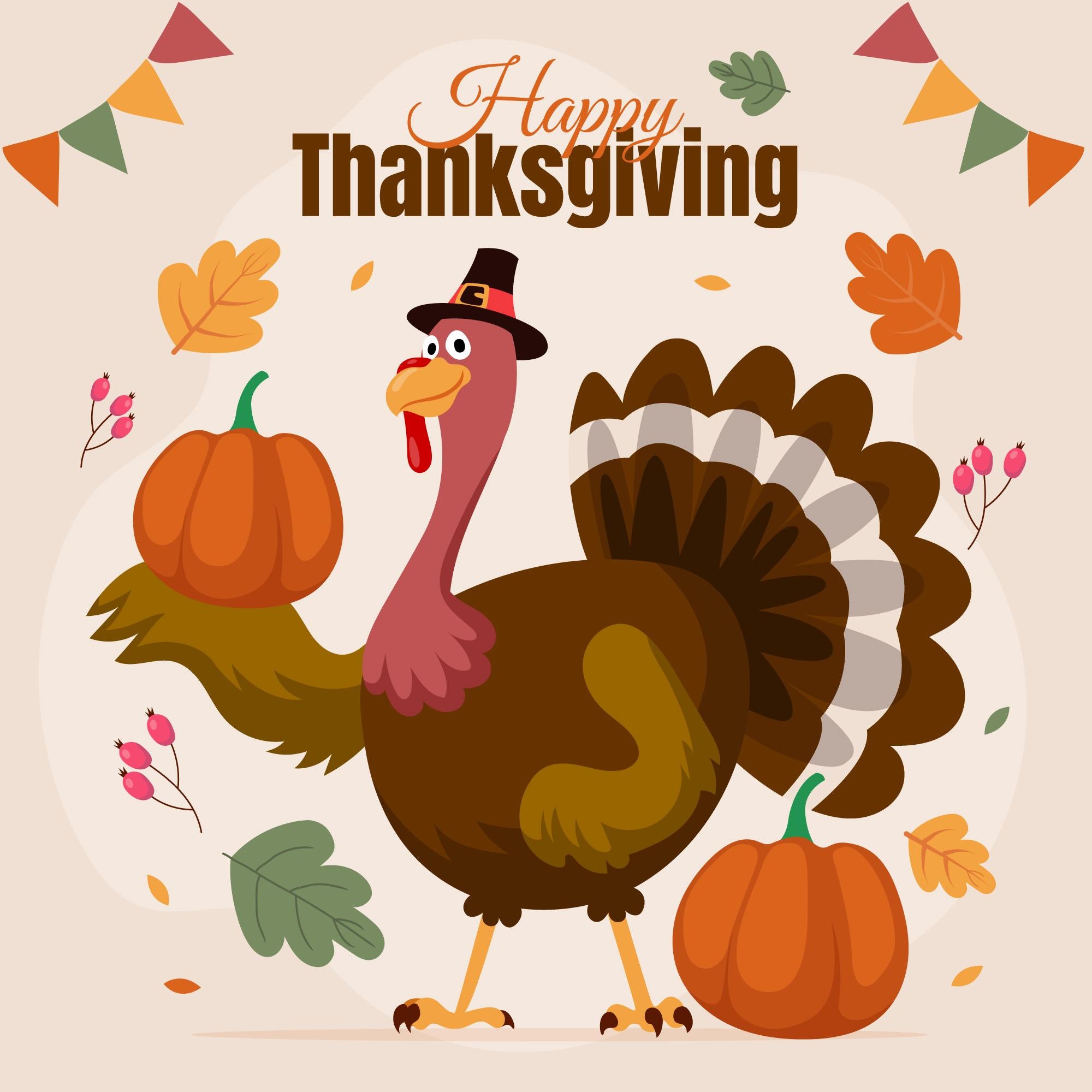 Happy Thanksgiving!